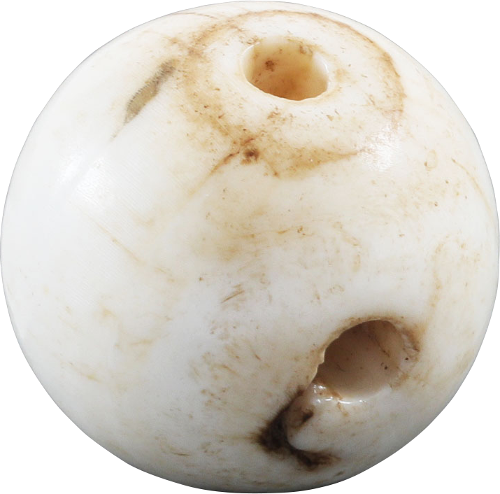 RARE VIKING SEA SHELL BEAD, 850-1050 AD - Picardi Jewelry