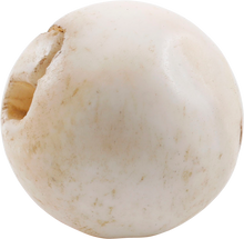 RARE VIKING SEA SHELL BEAD, 850-1050 AD - Fagan Arms